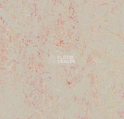 Линолеум Forbo Marmoleum Marbled Splash 3432-343235 fruit punch фото 1 | FLOORDEALER